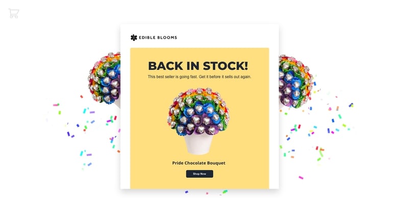 Use-emails-for-back-in-stock-notifications